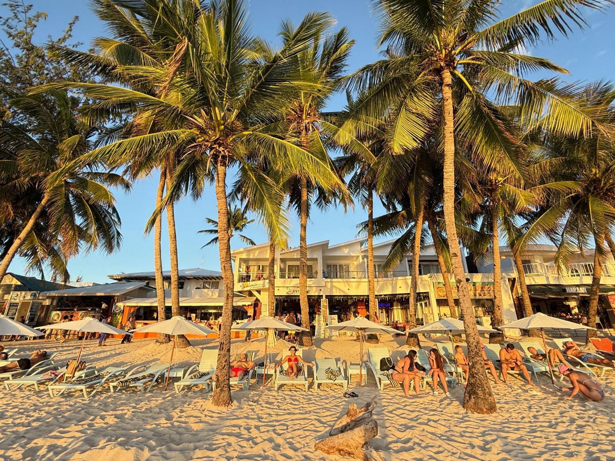 Calypso Beach And Dive Resort Manoc-Manoc Εξωτερικό φωτογραφία
